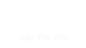 Rin Tin Tin Header Text